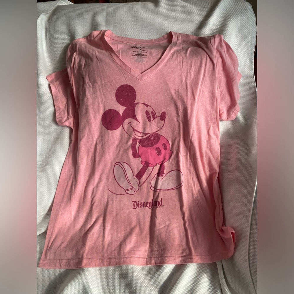 Disneyland Pink V-Neck Womens shirt 1x